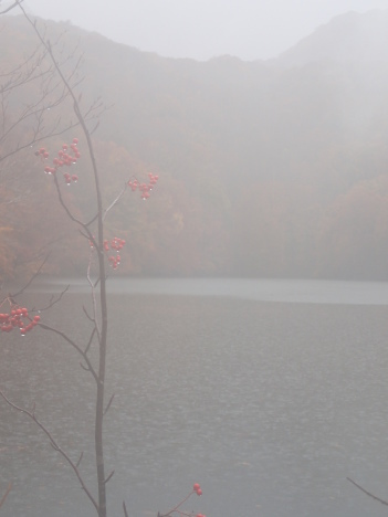 f0350468_11270904.jpg