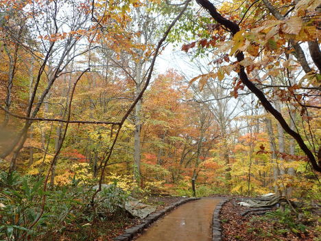 f0350468_11273663.jpg