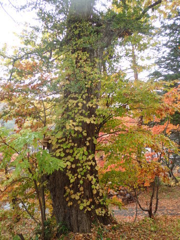 f0350468_11274949.jpg