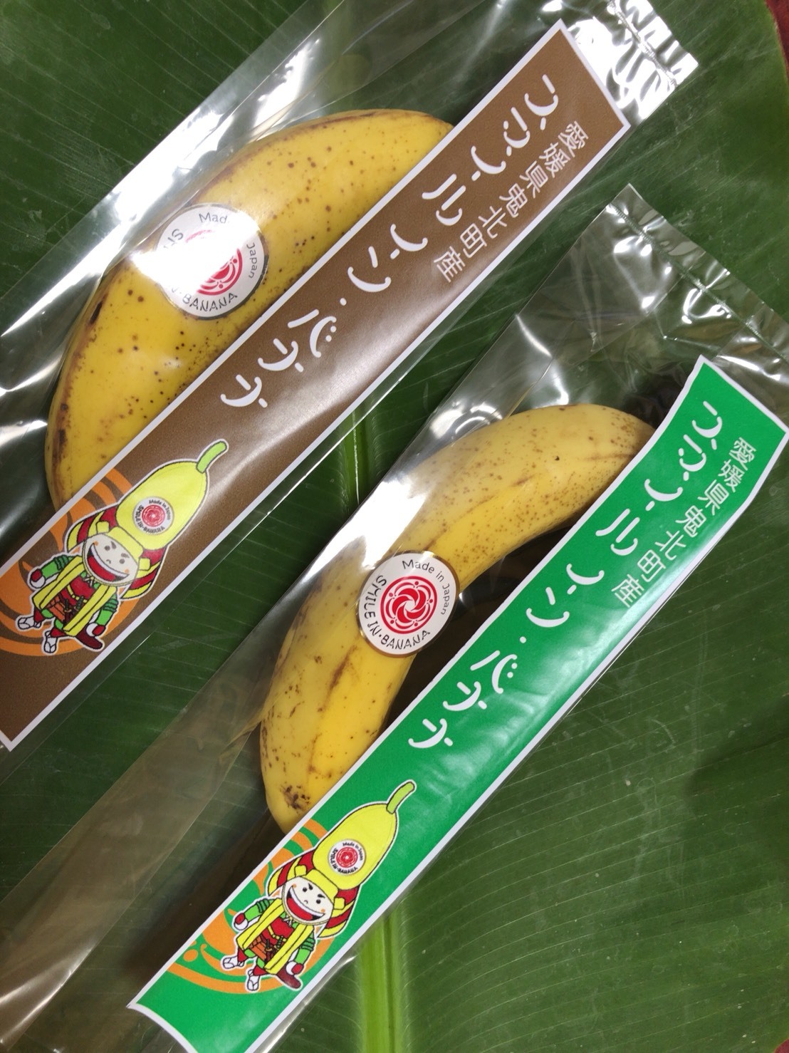 スマイル・イン・バナナ本日販売開始っ！！！ : 武村ゆかの♡ゆるり♡令和日和
