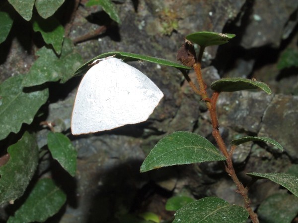 b0135573_14045965.jpg