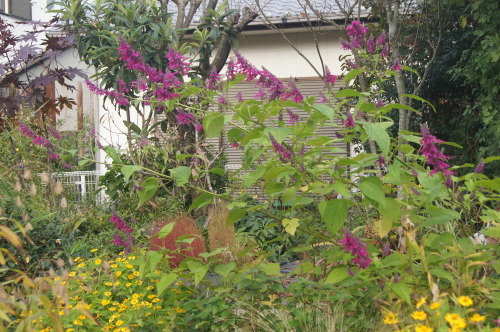 e0181373_20160983.jpg