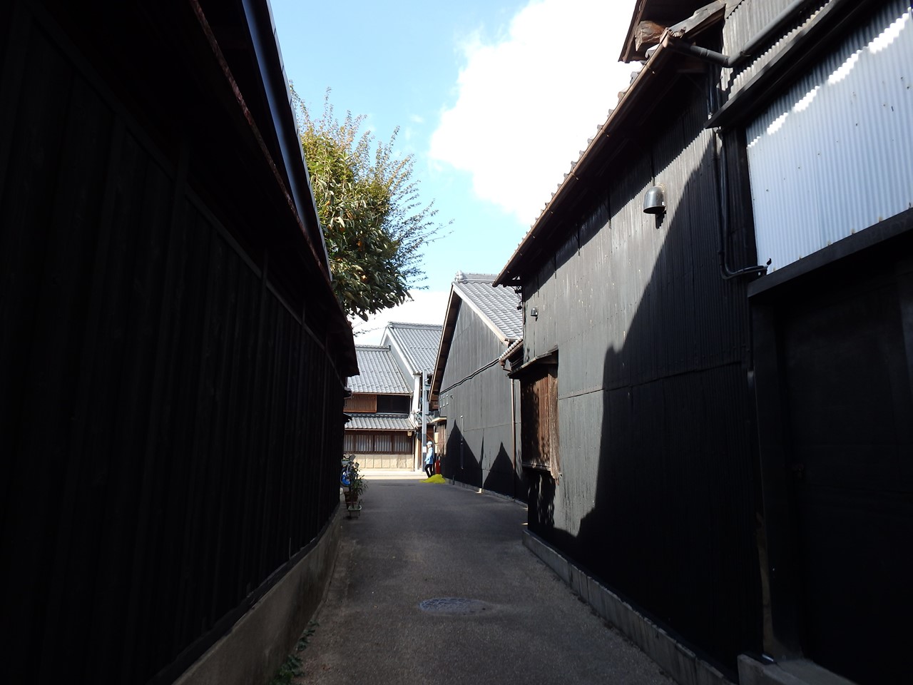 d0054276_20152190.jpg