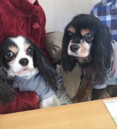b0193480_15171973.jpeg