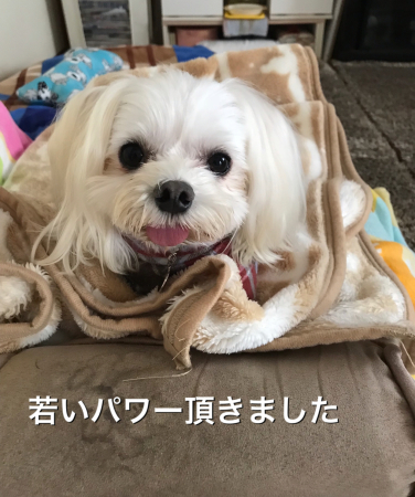 b0193480_15191134.jpeg