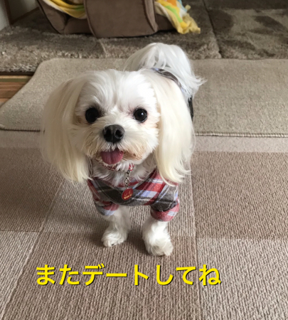 b0193480_15195465.jpeg