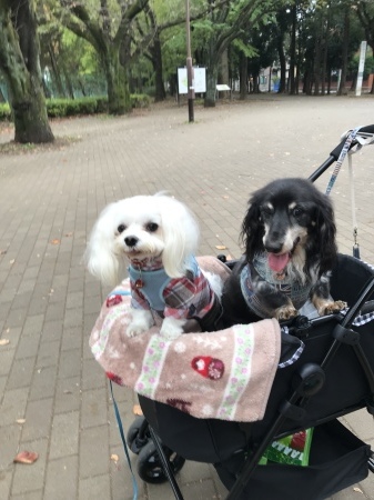 b0193480_15201734.jpeg