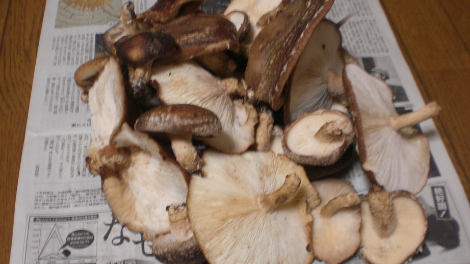 f0129585_21355468.jpg