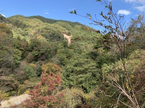 a0251786_22023930.jpg