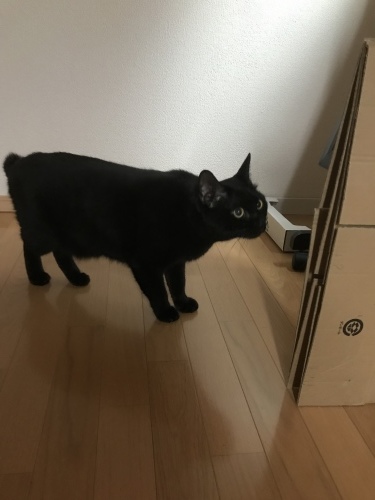 c0340786_13521063.jpeg