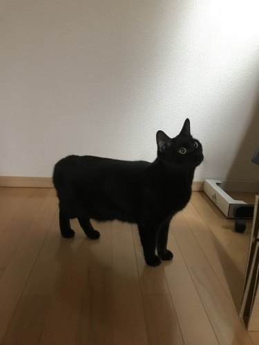 c0340786_13522259.jpeg