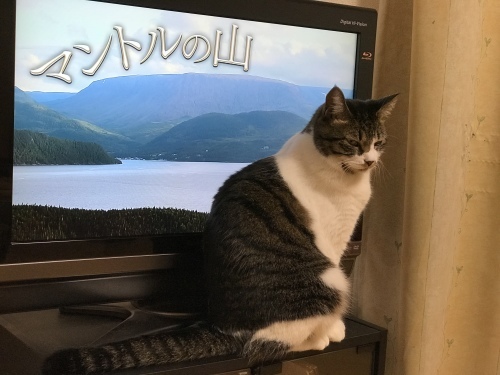 c0340786_13543253.jpeg