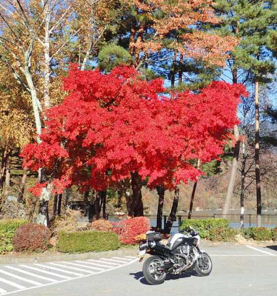 a0339187_21284432.jpg