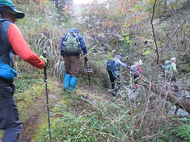 神原登山口～神掛岩～小松尾根～祖母山～神原登山口、3日_f0357487_22352131.jpg