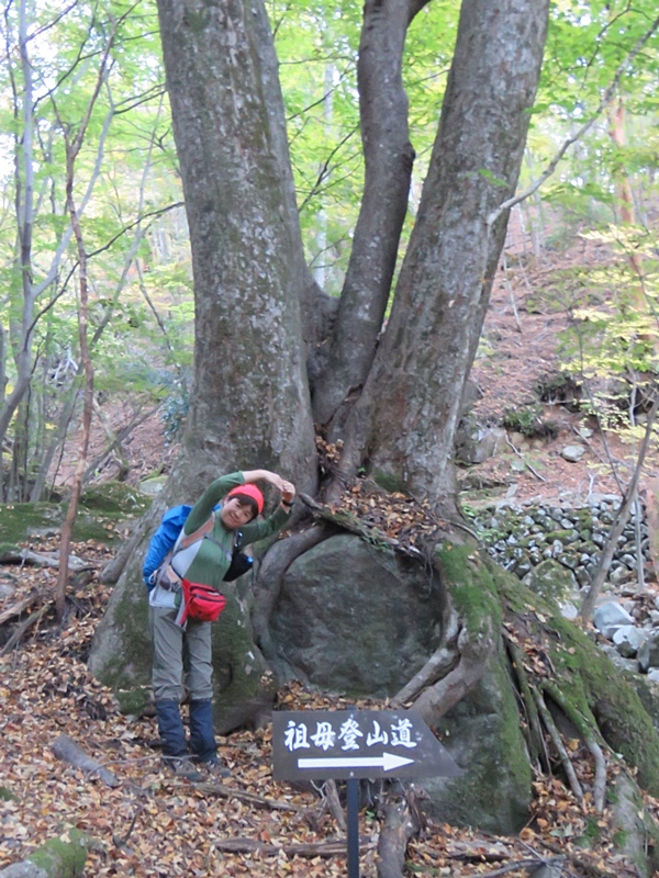 神原登山口～神掛岩～小松尾根～祖母山～神原登山口、3日_f0357487_22401024.jpg