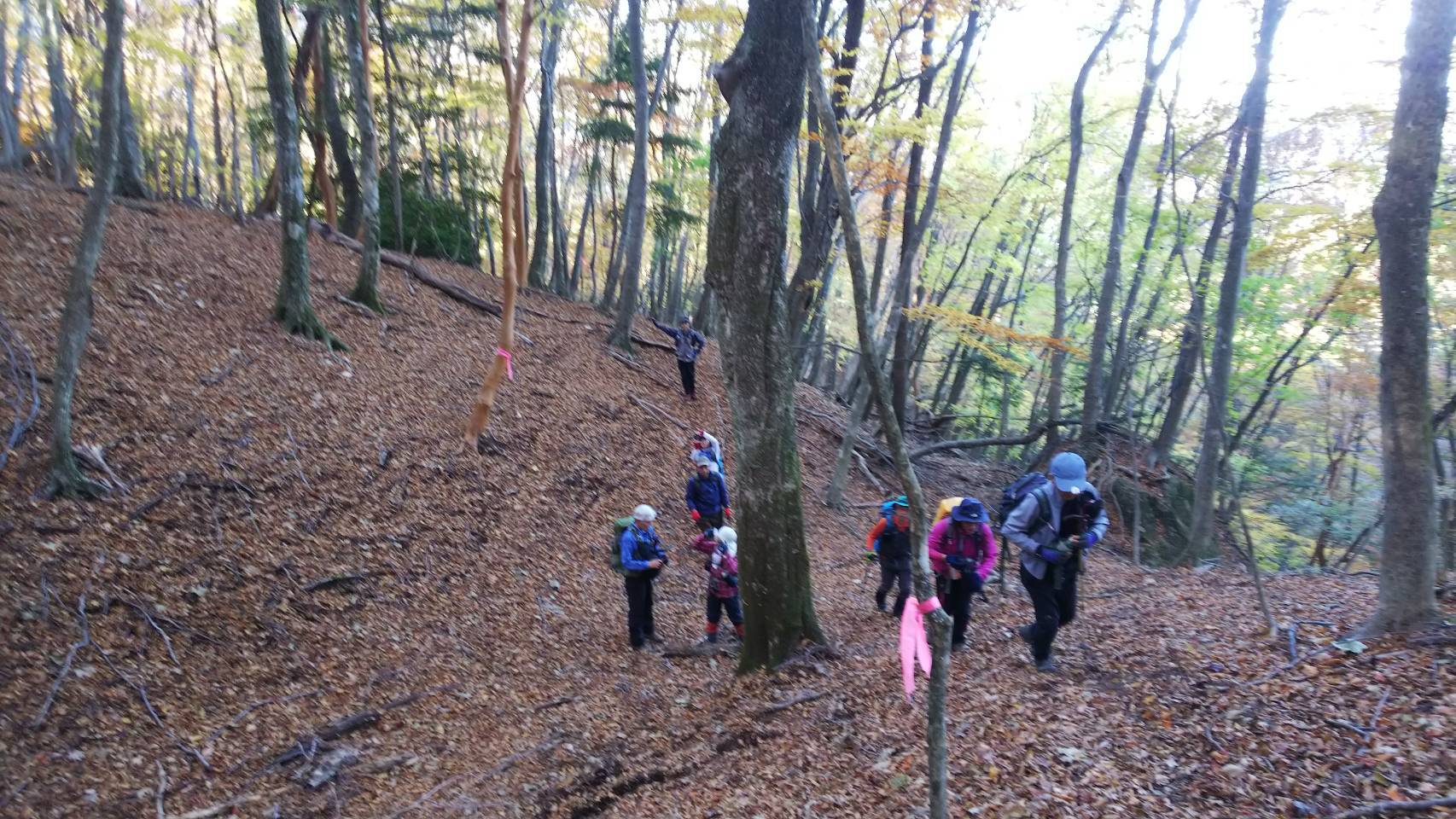 神原登山口～神掛岩～小松尾根～祖母山～神原登山口、3日_f0357487_23365980.jpeg