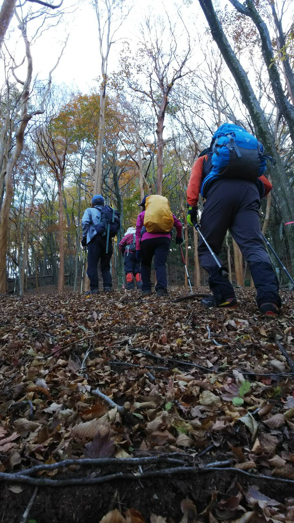 神原登山口～神掛岩～小松尾根～祖母山～神原登山口、3日_f0357487_23431887.jpeg