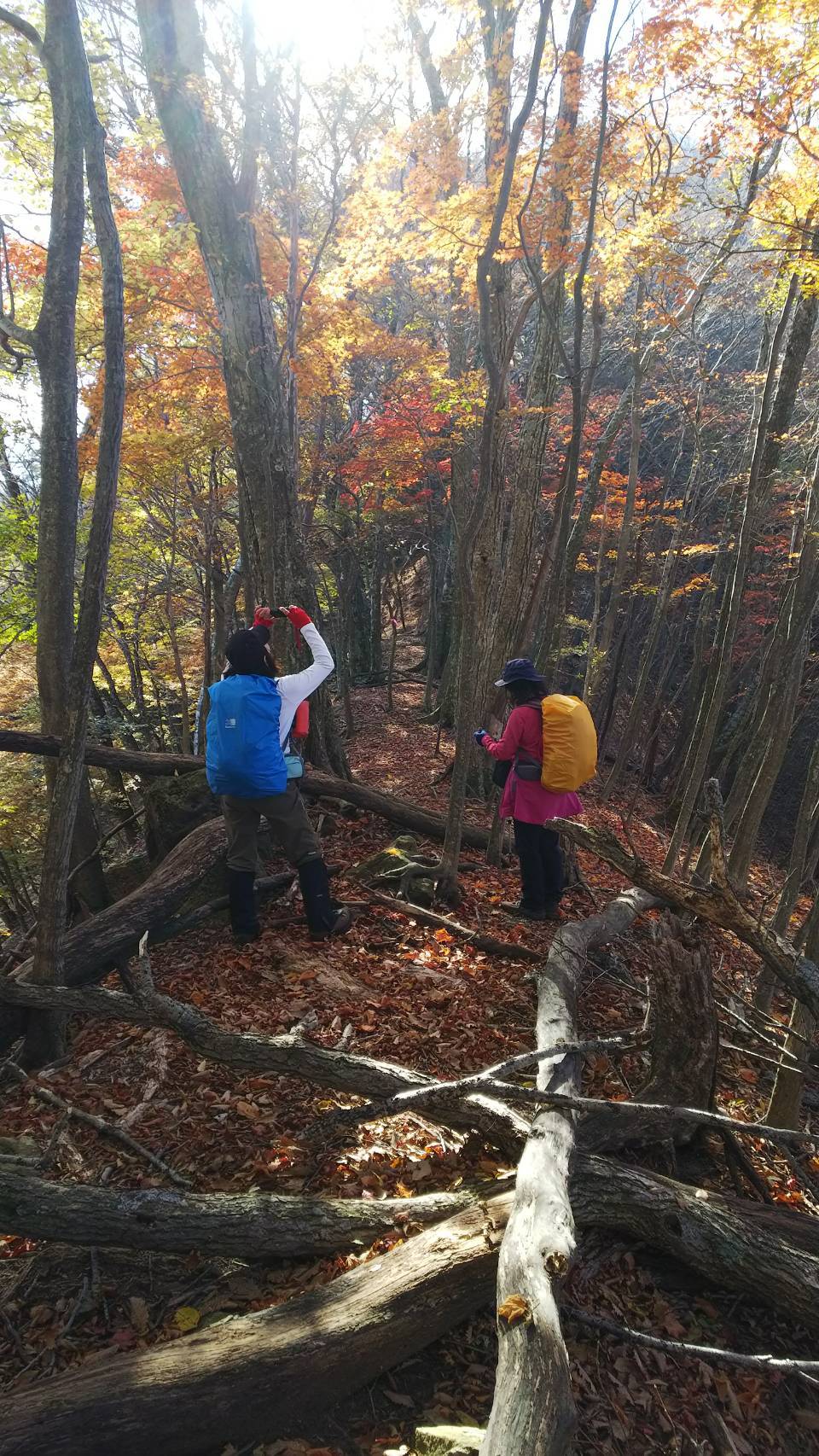 神原登山口～神掛岩～小松尾根～祖母山～神原登山口、3日_f0357487_23444875.jpeg