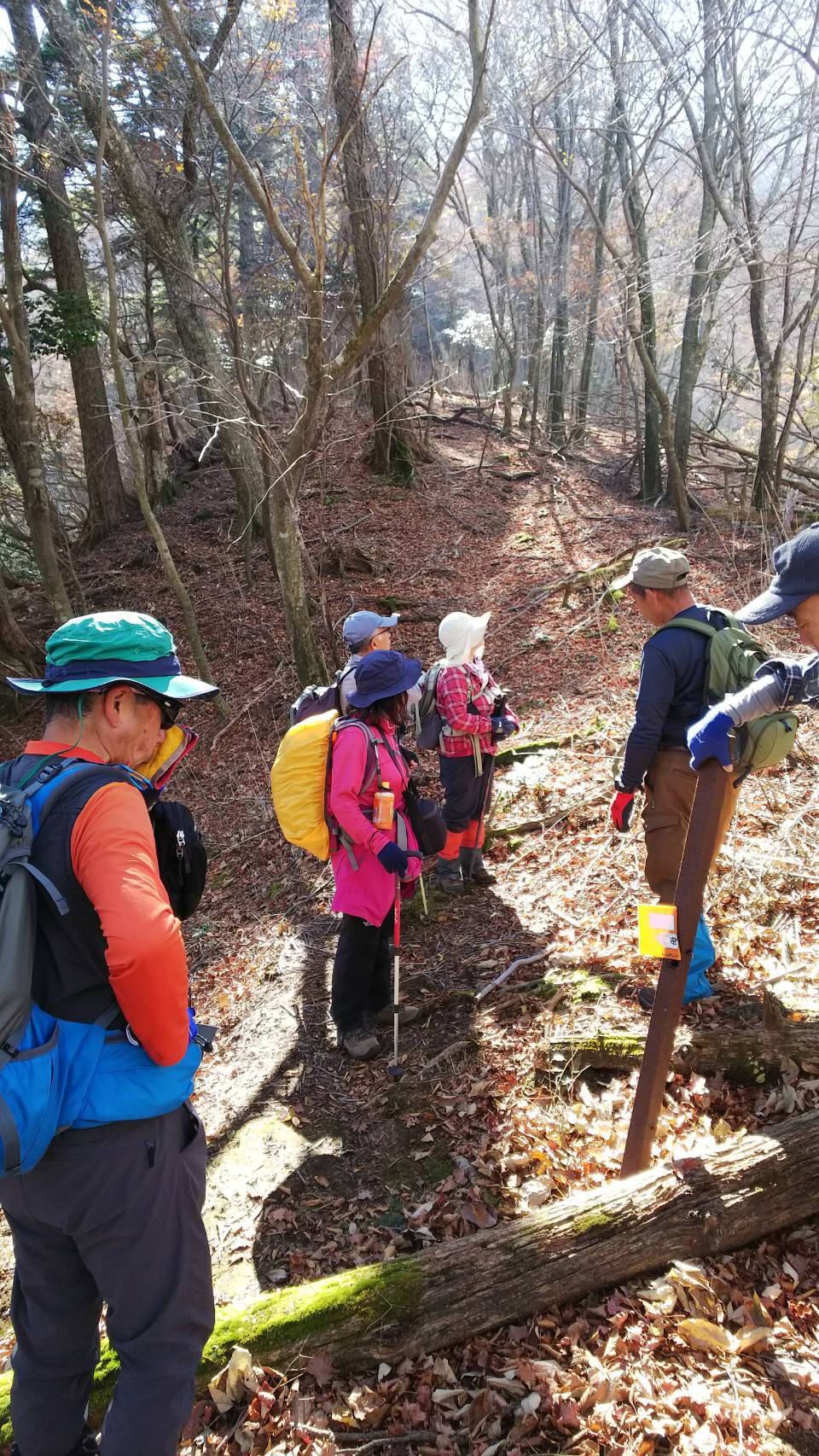 神原登山口～神掛岩～小松尾根～祖母山～神原登山口、3日_f0357487_23450509.jpeg