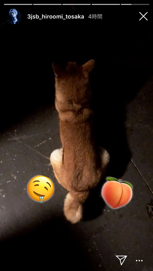e0206490_20583692.png