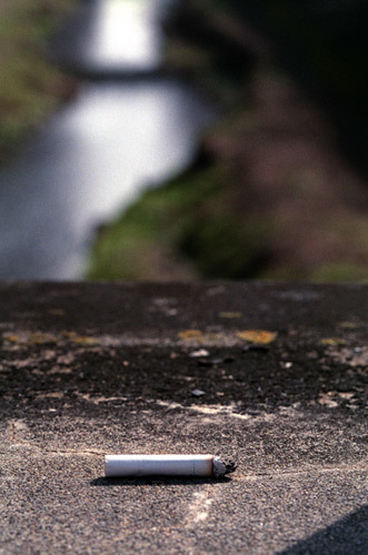c0386291_17460638.jpg