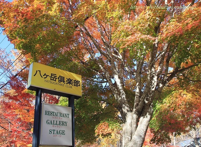f0374092_15055666.jpg