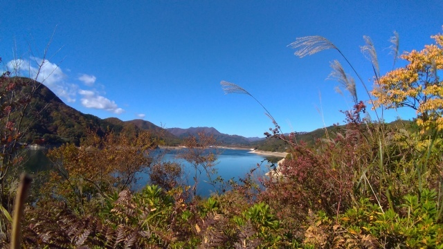 f0100593_20185398.jpg