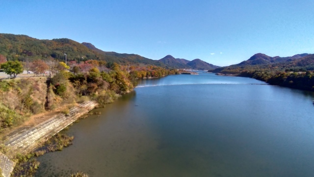 f0100593_20190062.jpg