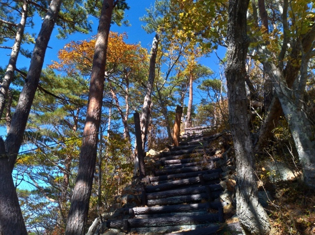 f0100593_20202775.jpg