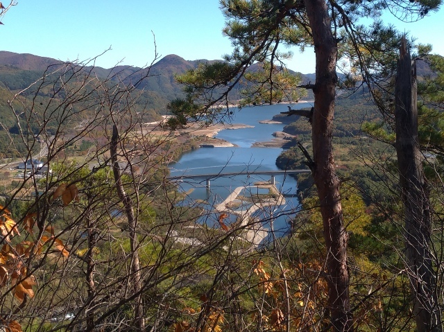 f0100593_20210072.jpg