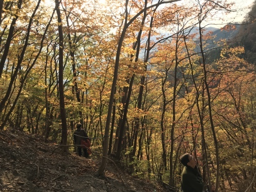 181103　二子山_b0146794_17154370.jpeg