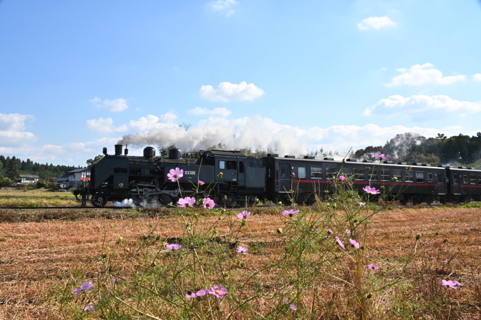 c0240794_15483618.jpg