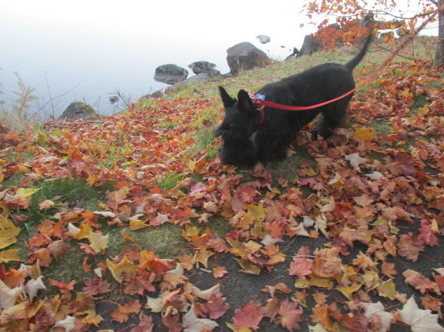 a0091796_00073012.jpeg