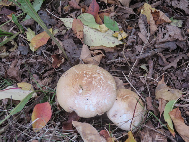 f0346196_14091501.jpg
