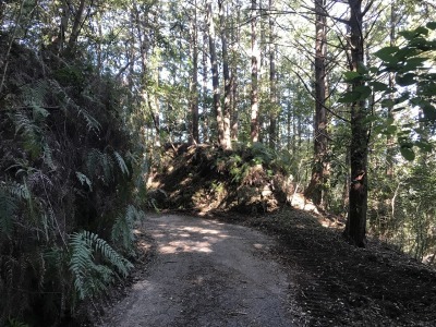 f0308898_19005305.jpg