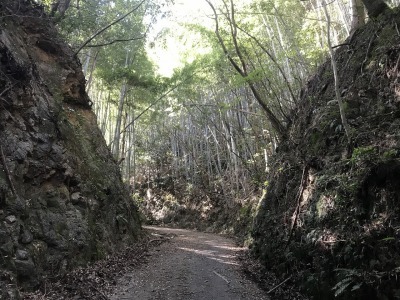 f0308898_19010186.jpg