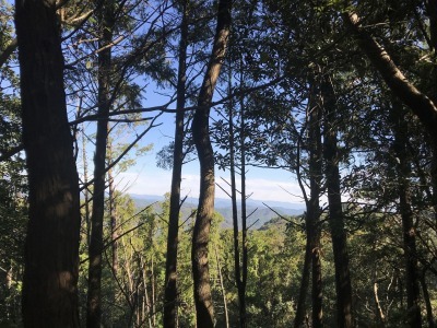 f0308898_19050550.jpg