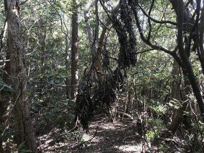 f0308898_19064791.jpg