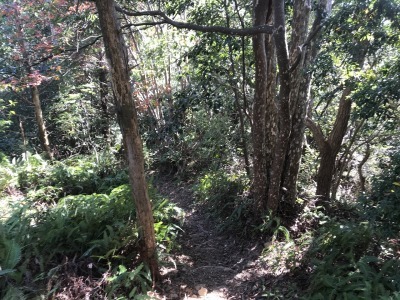 f0308898_19100675.jpg