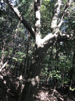 f0308898_19101664.jpg