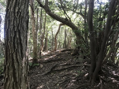 f0308898_19112851.jpg