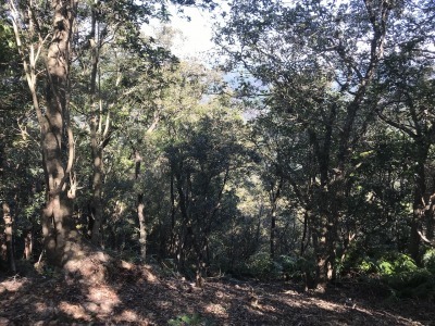 f0308898_19132428.jpg