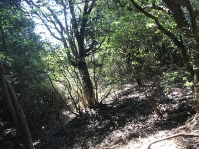 f0308898_19190038.jpg