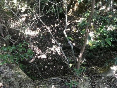 f0308898_19195323.jpg