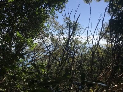 f0308898_19201530.jpg