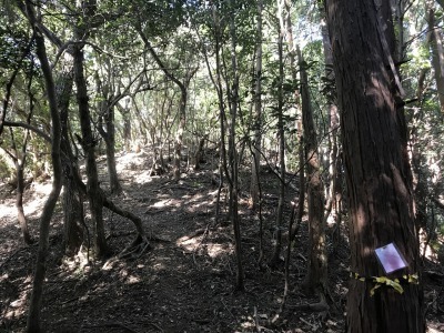 f0308898_19204788.jpg