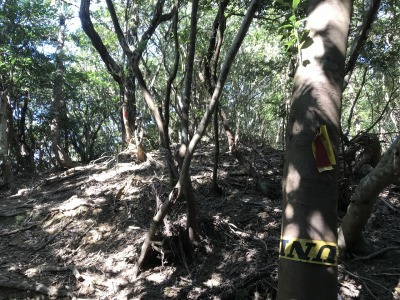 f0308898_19215160.jpg