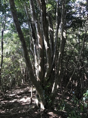 f0308898_19263403.jpg
