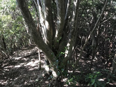 f0308898_19264411.jpg