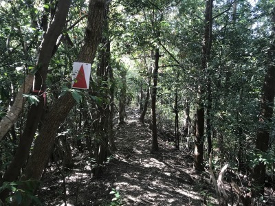 f0308898_19270955.jpg